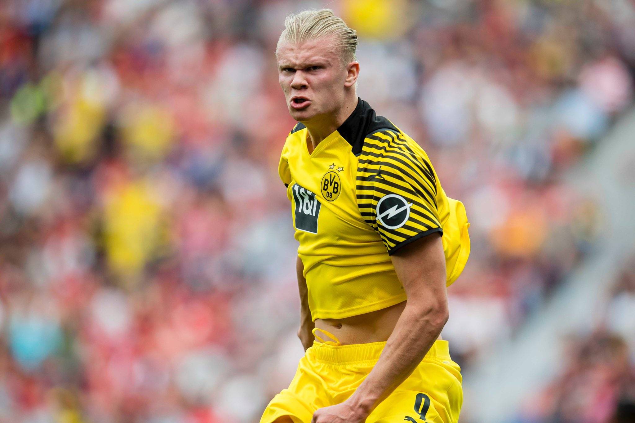 搜索流量 搜索流量